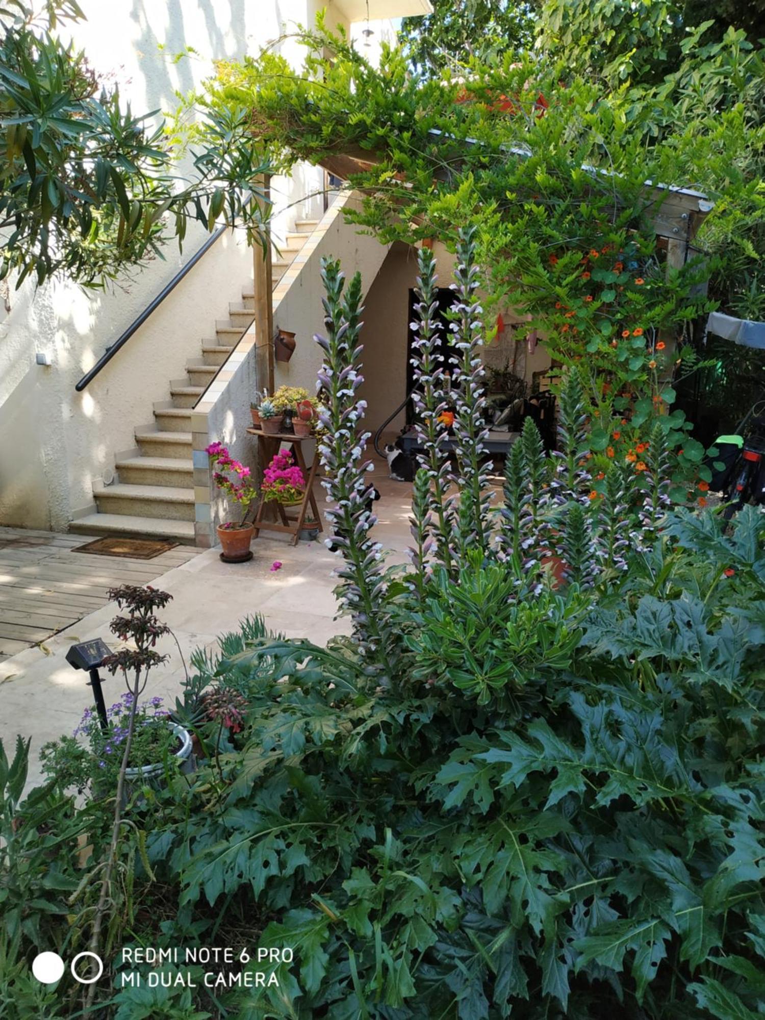 ארל En Ville Avec Un Air De Campagne מראה חיצוני תמונה